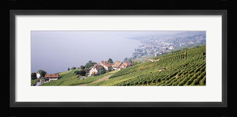 Framed Vineyards, Lausanne, Lake Geneva, Switzerland Print