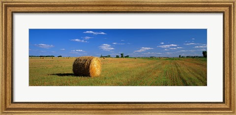 Framed Hay Bales, South Dakota, USA Print