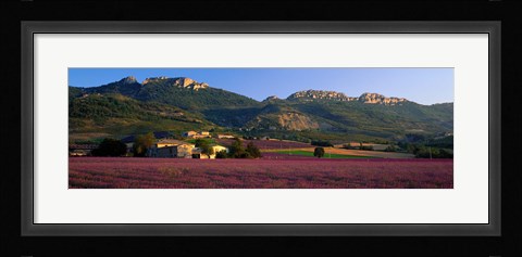 Framed Lavender Fields And Farms, High Provence, La Drome, France Print