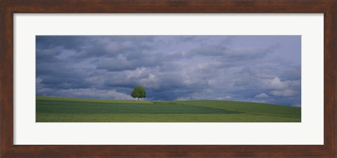 Framed Storm clouds over a field, Zurich Canton, Switzerland Print