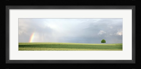 Framed Rainbow and storm clouds over a field, Zurich Canton, Switzerland Print
