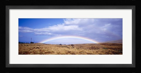 Framed Field, Rainbow, Hawaii, USA Print