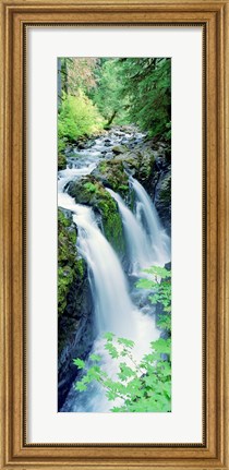 Framed Sol Duc Falls Olympic National Park WA Print