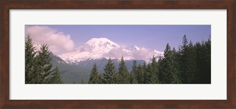Framed Mt Ranier Mt Ranier National Park WA Print