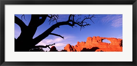 Framed Skyline Arch, Arches National Park, Utah, USA Print