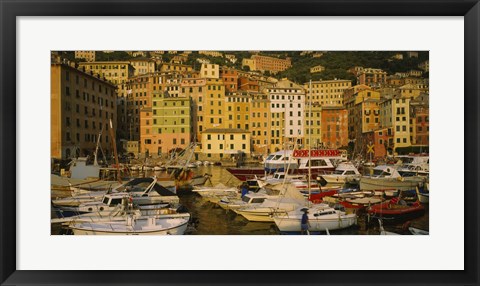 Framed Boats at the harbor, Camogli, Liguria, Italy Print