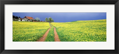 Framed Dirt road passing through a field, Germany Print