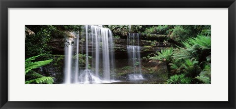 Framed Waterfall in a forest, Russell Falls, Mt Field National Park, Tasmania, Australia Print
