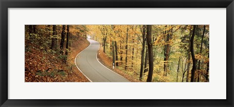 Framed Autumn trees along a road, Germany Print
