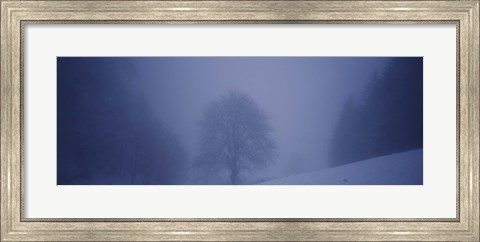 Framed Trees on a snow covered landscape, Schauinsland, Germany Print