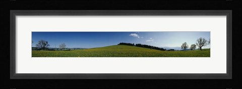 Framed Panoramic view of a landscape, St. Peter, Lindenberg, Black Forest, Germany Print