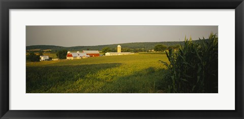 Framed Crop in a field, Frederick County, Virginia, USA Print