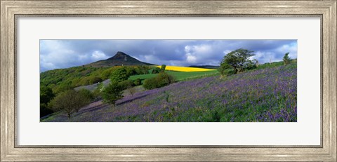 Framed Bluebell Flowers In A Field, Cleveland, North Yorkshire, England, United Kingdom Print