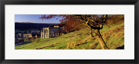 Framed Church On A Landscape, Rievaulx Abbey, North Yorkshire, England, United Kingdom Print