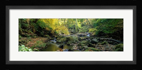 Framed Stream Flowing Through Forest, Eller Beck, England, United Kingdom Print