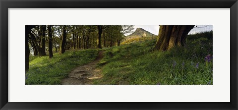 Framed Path Running Through A Forest, Newton Wood, Yorkshire, England, United Kingdom Print