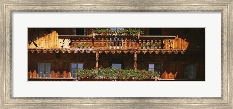 Framed Close-up of potted plants on balcony railings, Tirol, Austria Print