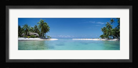 Framed Palm trees on the beach, Tikehau, French Polynesia Print