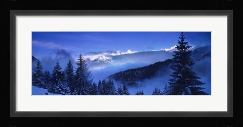 Framed Trees on a polar landscape, Simplon Pass, Switzerland Print