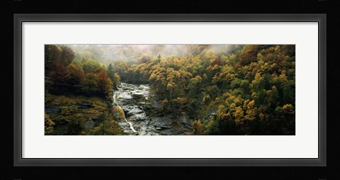 Framed High angle view of trees in a forest, Simplon Pass, Switzerland Print