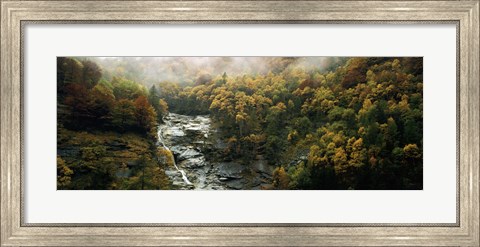 Framed High angle view of trees in a forest, Simplon Pass, Switzerland Print