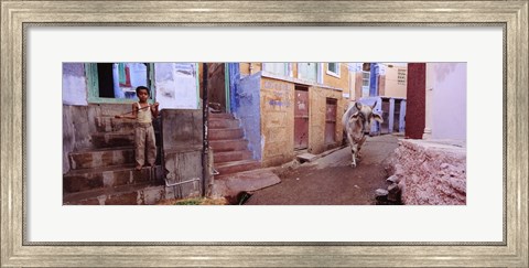 Framed Boy and a bull in front of building, Jodhpur, Rajasthan, India Print