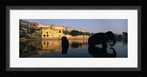 Framed Silhouette of two elephants in a river, Amber Fort, Jaipur, Rajasthan, India Print