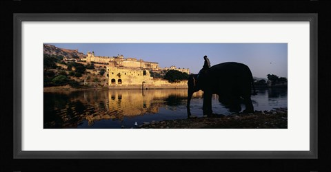 Framed Side profile of a man sitting on an elephant, Amber Fort, Jaipur, Rajasthan, India Print