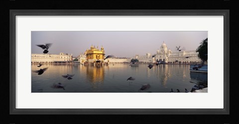 Framed Reflection of a temple in a lake, Golden Temple, Amritsar, Punjab, India Print