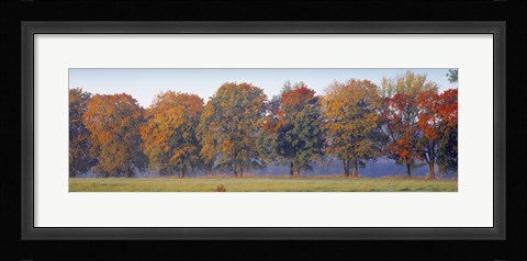 Framed Trees in a garden, South Bohemia, Czech Republic Print