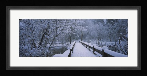 Framed Trees along a snow covered footbridge, Yosemite National Park, California, USA Print
