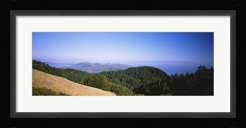 Framed High angle view of a forest, Mt Tamalpais, California, USA Print