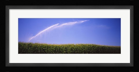 Framed Water being sprayed on a corn field, Washington State, USA Print
