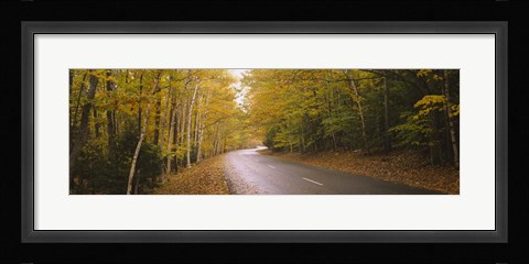 Framed Road passing through a forest, Park Loop Road, Acadia National Park, Mount Desert Island, Maine, USA Print