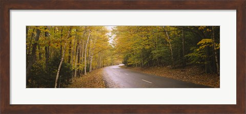 Framed Road passing through a forest, Park Loop Road, Acadia National Park, Mount Desert Island, Maine, USA Print