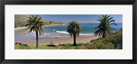 Framed High angle view of palm trees on the beach, Refugio State Beach, Santa Barbara, California, USA Print