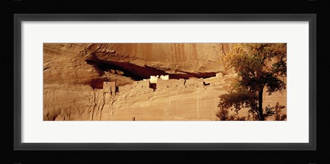 Framed Tree in front of the ruins of cliff dwellings, White House Ruins, Canyon de Chelly National Monument, Arizona, USA Print