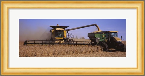 Framed Combine harvesting soybeans in a field, Minnesota Print