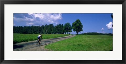 Framed Rear view of a person riding a bicycle on the road, Black Forest, Germany Print