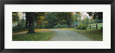 Framed Trees at a Roadside, Vermont Print