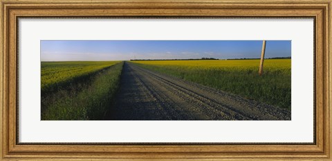 Framed Country Road in Millet, Canada Print