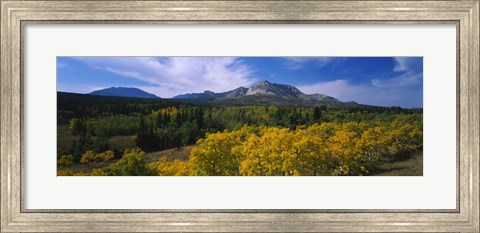 Framed Valley of Trees in Wateron Lakes Print