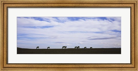 Framed Horses in Field Print