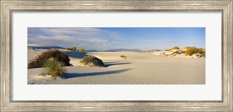 Framed Desert plants in a desert, White Sands National Monument, New Mexico, USA Print