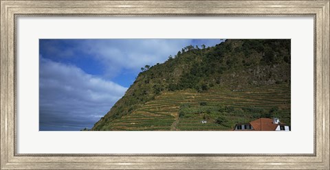 Framed Low angle view of terraced fields on a mountain, Ponta Delgada, Madeira, Portugal Print