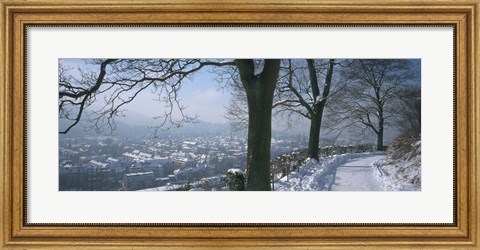 Framed Trees along a snow covered road, Freiburg Im Breisgau, Breisgau, Baden-Wurttemberg, Germany Print