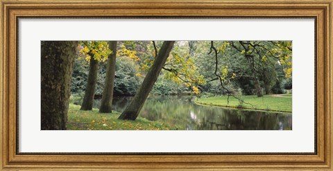 Framed Trees near a pond in a park, Vondelpark, Amsterdam, Netherlands Print