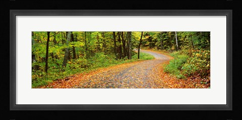 Framed Road passing through a forest, Country Road, Peacham, Caledonia County, Vermont, USA Print