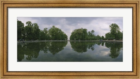 Framed Reflection of trees in a pond, Versailles, Paris, Ile-De-France, France Print