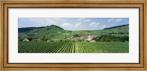 Framed Vineyards near a village, Oberbergen, Der Vogelsangpass, Bereich Kaiserstuhl, Baden-Wurttemberg, Germany Print